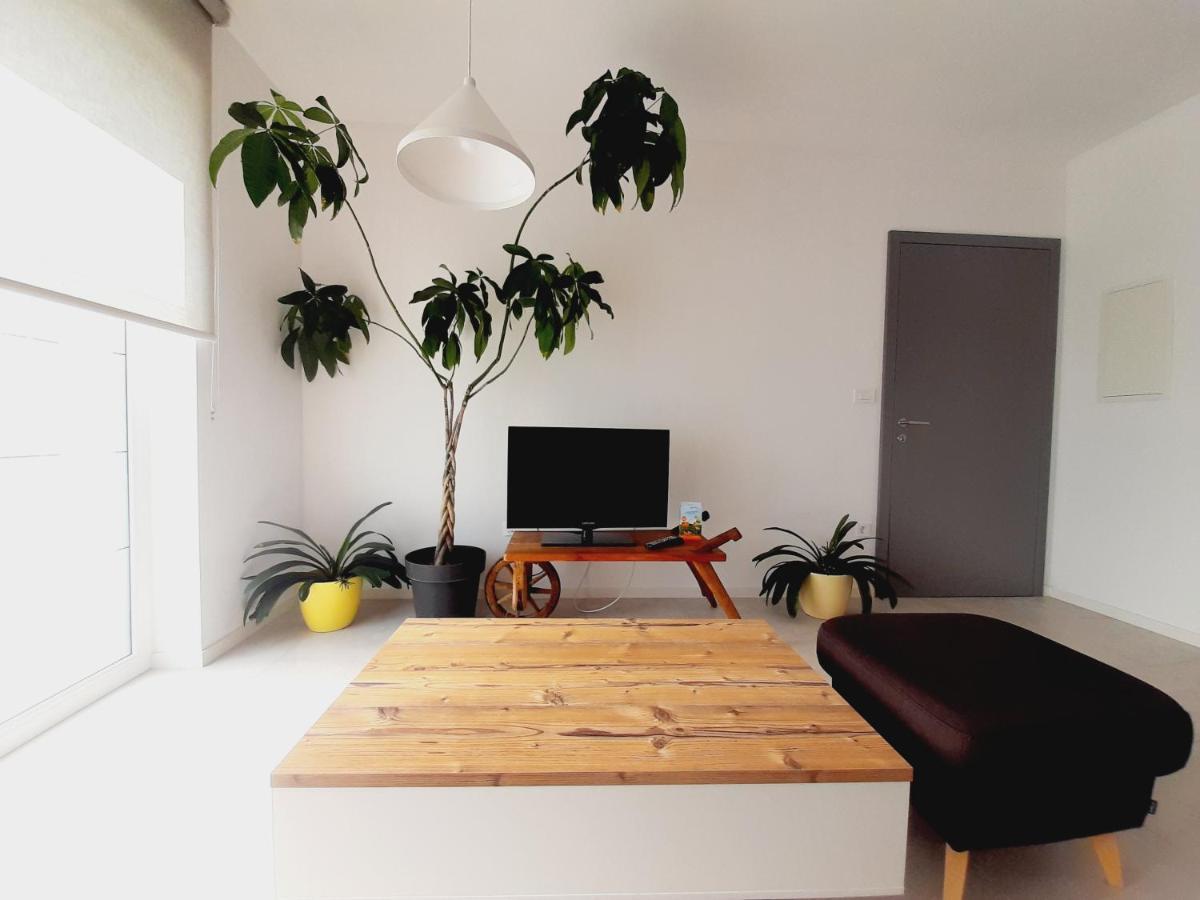 Green Bee Apartment 레쎄 외부 사진