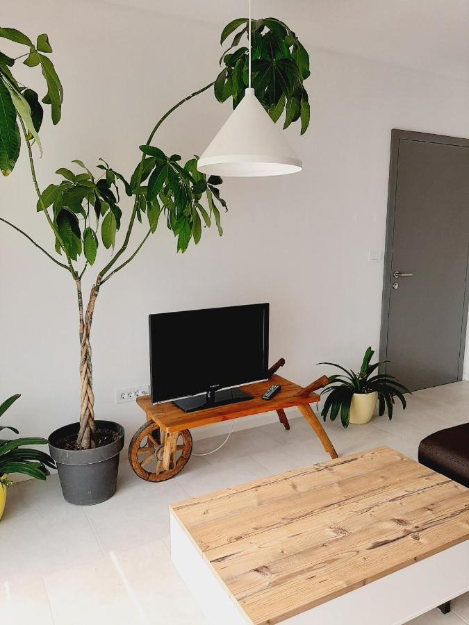 Green Bee Apartment 레쎄 외부 사진